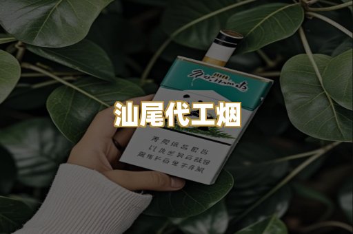汕尾代工烟
